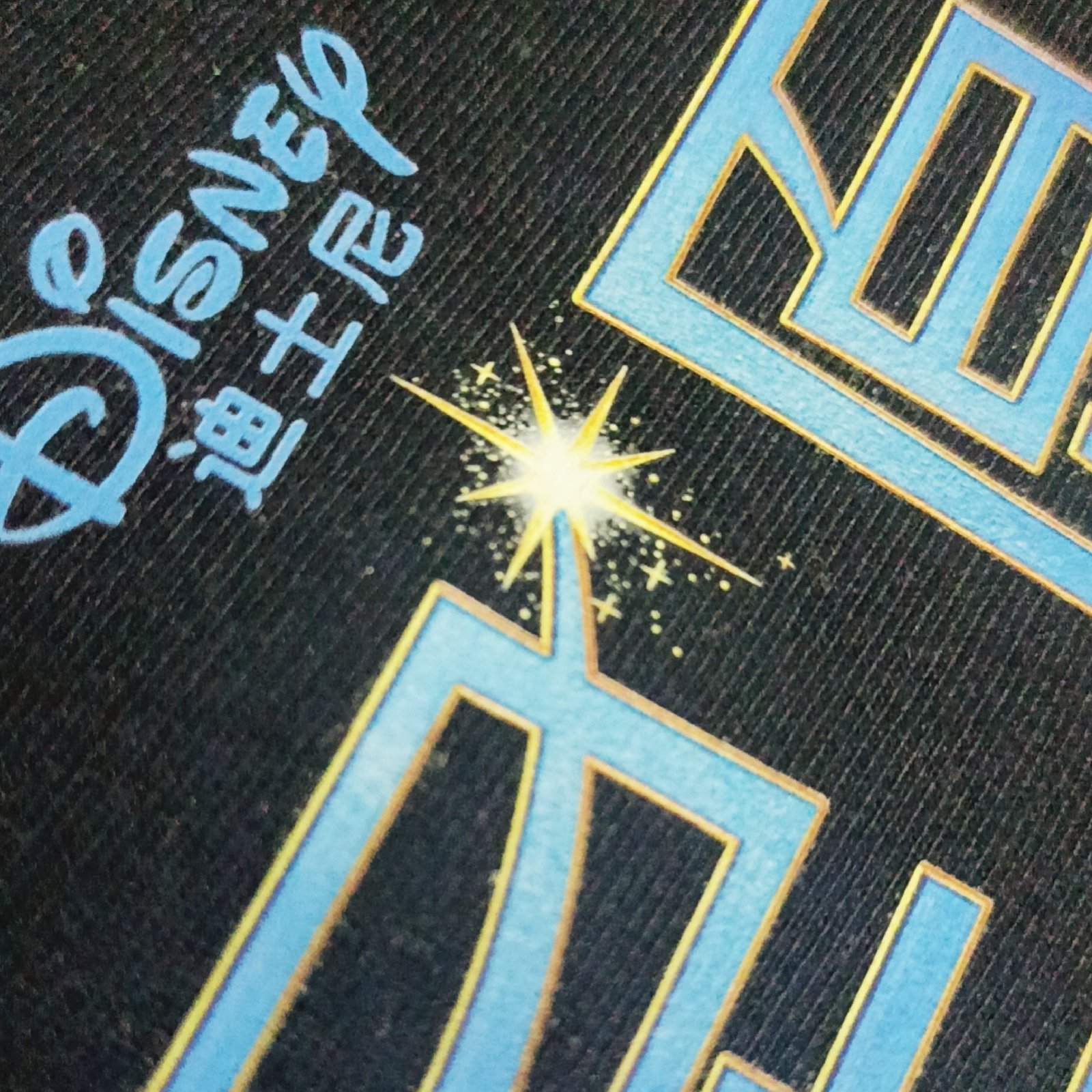 黑色面料上浅蓝色Disney字样闪光烫画